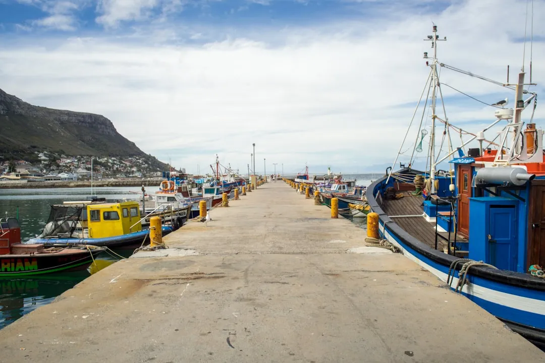 fishing boats docked harbor
