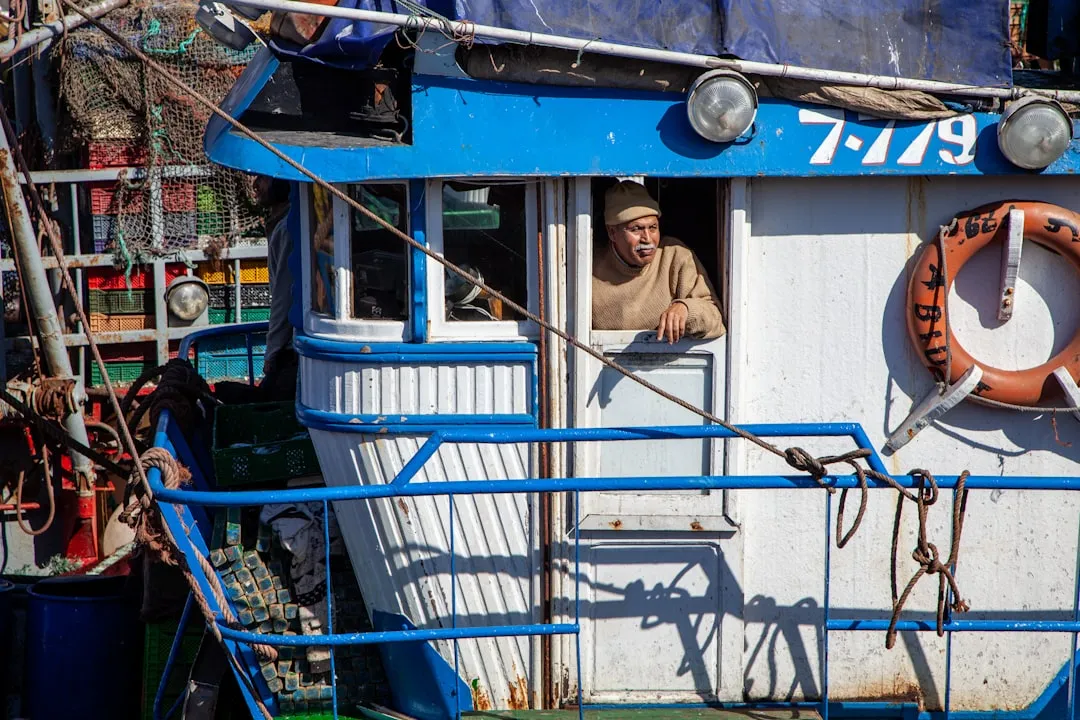 fishing boats docked harbor