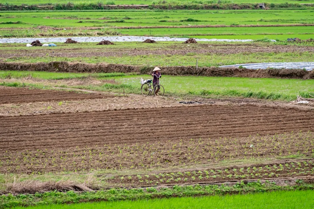 a person on a bike in a field