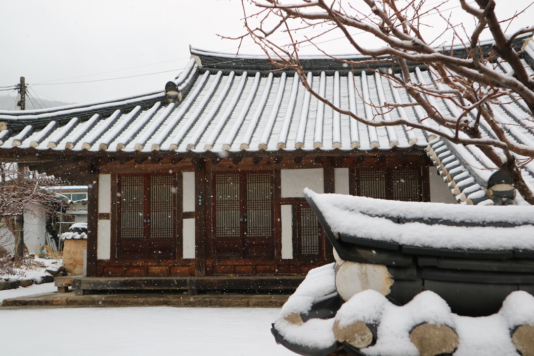 korean rural house roof